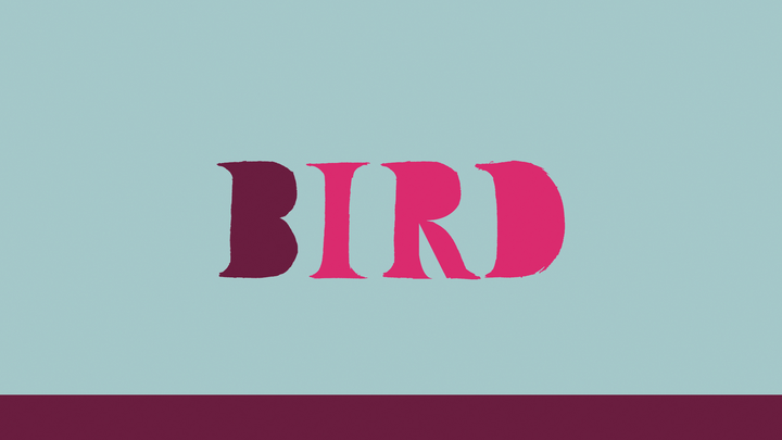 Bird is the Word