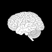 Brain
