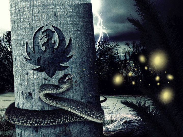 CMT Giants / Hank Jr / Hat