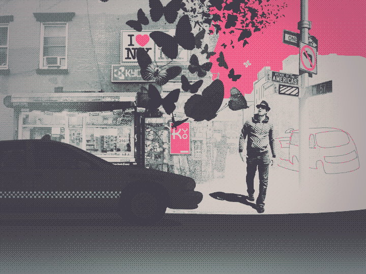 Butterflies / Kyocera