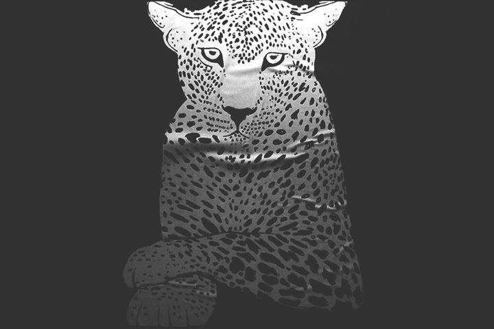 Leopard Calm Screen