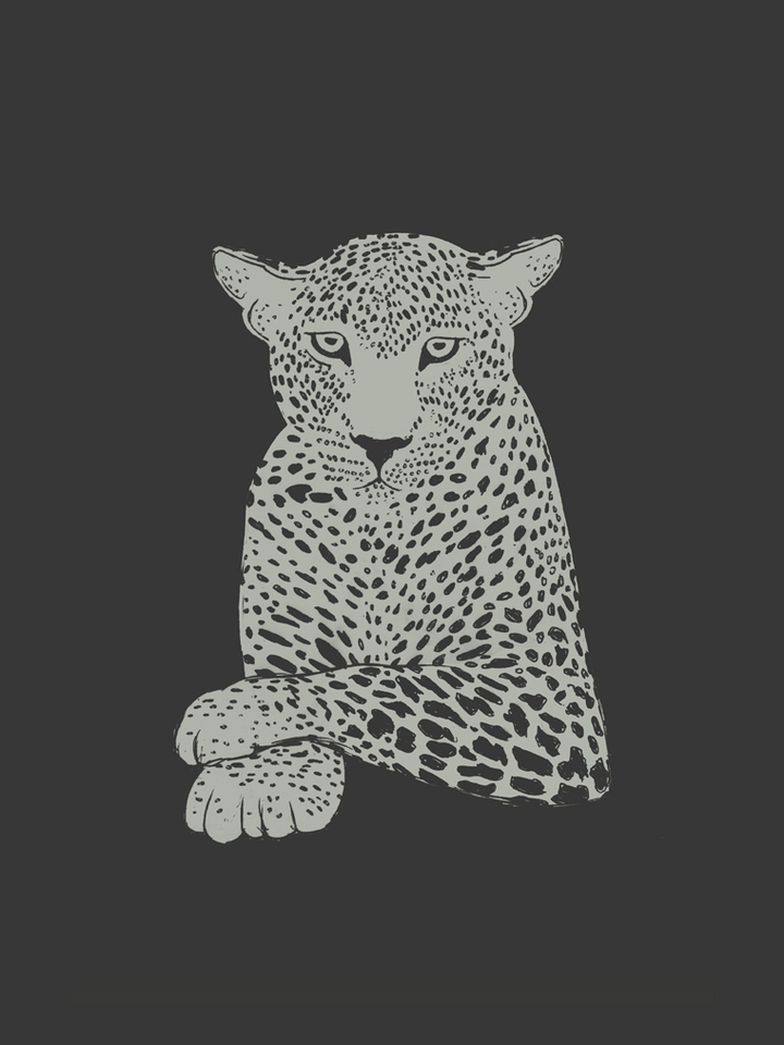 Leopard Calm