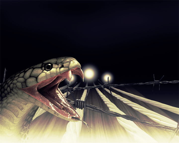 CMT Giants / Hank Jr / Strings