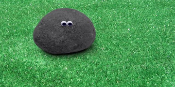 VH1 / ID / ROW SHAM BOW