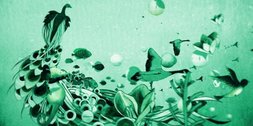 Brizo / Green Dream / 2008